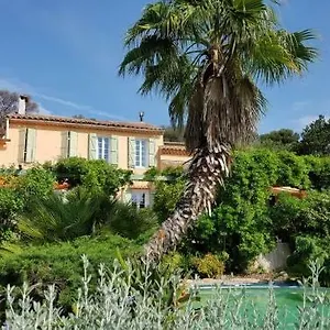 Les Palmiers Toulon